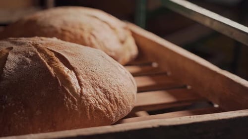 Freshly baked fragrant bread with a ruddy appetizing crust and an interesting pattern.