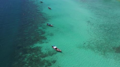 Drone footage of tourist snorkeling diving and boats float on the sea.