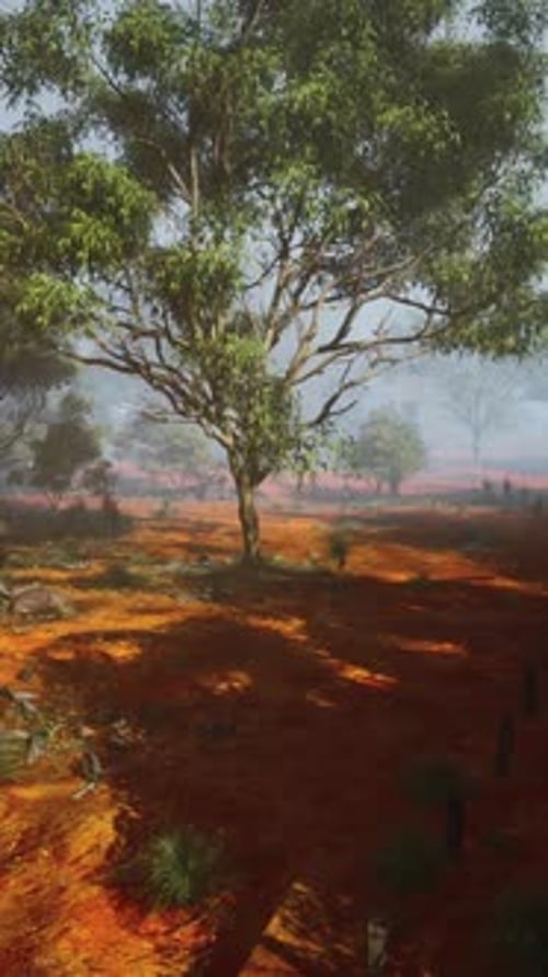 Serenitys Sanctuary The Enchanting Eucalyptus Grove Painting