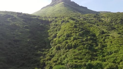 Lush Green Vegetations Growing In The Mountain On Sunny Summer Day. - aerial