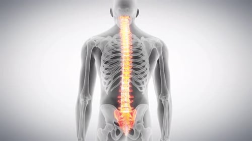 Human spine glowing in a rotating three dimensional medical animation