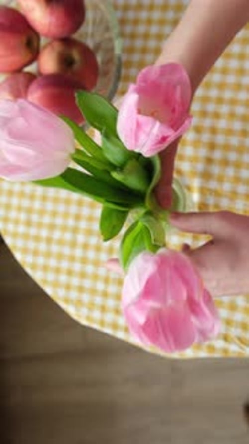 Vertical Video Hands Put a Bouquet of Spring Tulips Flowers in a Vase