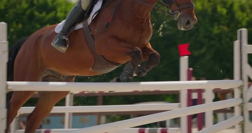 Jumping Horse and Equestrian Jumping on Horseback Horse Leaping Fence on Sandy Parkour Riding Arena