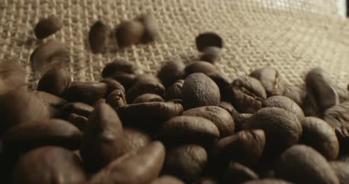 Robusta Medium Roast Burlap Bag with Falling Roasted Coffee Beans Dark Key Shot Bottom View Roasted
