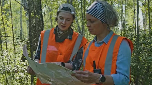 Women Reviewing Map in Sunny Forest