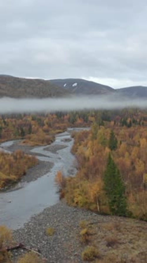 Vue aérienne d'une vallée pittoresque avec des arbres en croissance colorés en automne et de l'herbe fanée