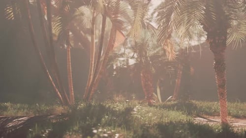 A Group of Palm Trees in a Grassy Area