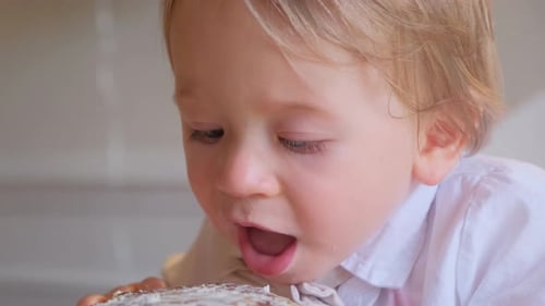 Blonde Child Eats Birthday Cake