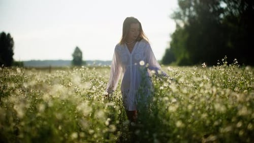 Woman Strolling in Daisy Field at Sunset