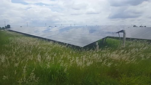 Calm and quiet solar photovoltaic modules producing clean energy on a solar farm and grass waving wi