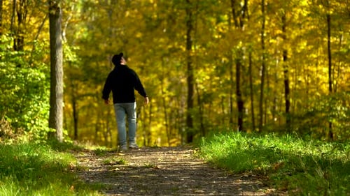 A Man Walks Along a Path in an Autumn Forest