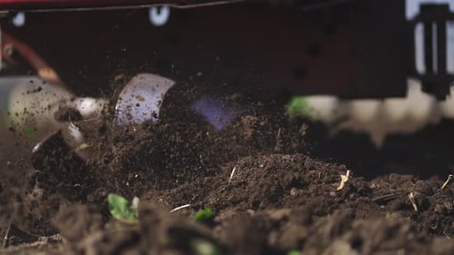 Home Farming Closeup Farmer Plows the Land with a Gasoline Plow in the Garden Agriculturist