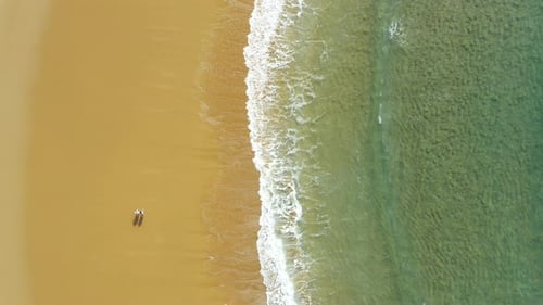 4k video footage of an unrecognizable couple walking on the beach