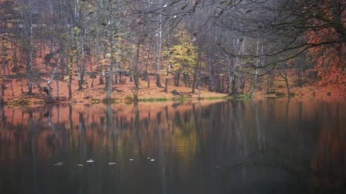 Herbstsee