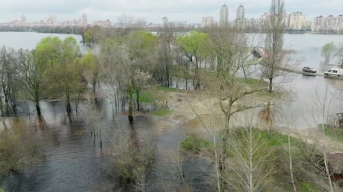 River Lake Swamp Water Forest Spring Nature Park Tree Green