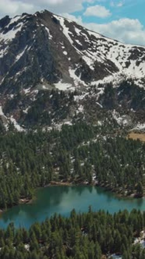 Mountain lake with snow mountains and green forest