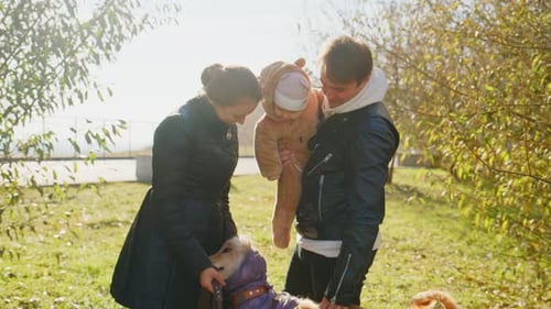 Happy Family with Baby and Dogs in the Park