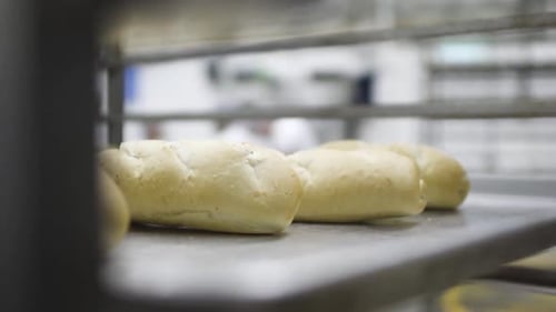 Fresh Bread Loaves on Rack in Bakery