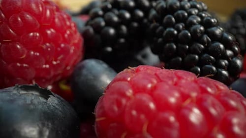 Close Up of Fresh Colorful Summer Berries