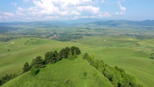 Aerial View of a Green Hill with Pine Trees in the Middle of a Meadow in Spring