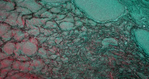 Color Fluid Abstract Background Ink Water Flow