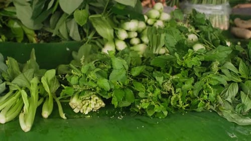 Fresh Green Herbs Assortment on Market Counter