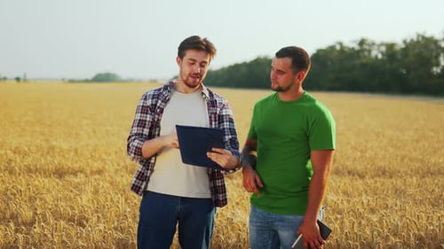 Farmer and Agronomist Stand in Wheat Field Discussing Cultivatted Crops and Harvest Yield Rancher