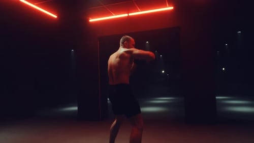 Fight Training
