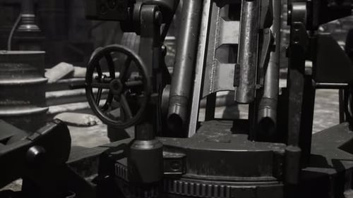 Cannon Gun in the City