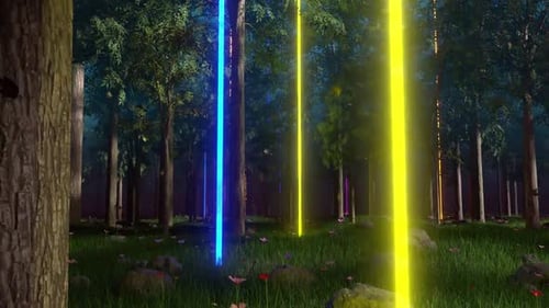 Neon Zoom Forrest