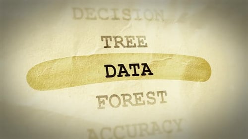 Data Text Highlight Animation – Documentary Style Effect