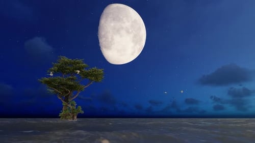 Amazing Moon and Ocean Nature