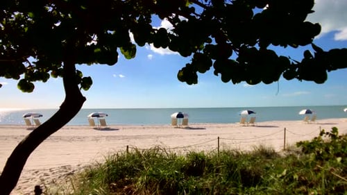 Tropical Beach Tracking Shot under Umbrellas