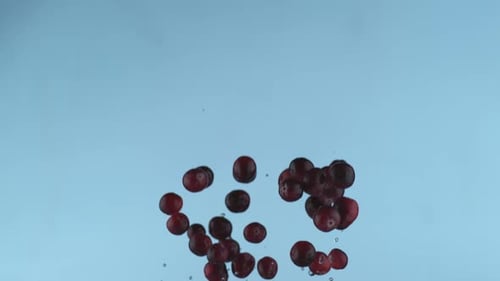 Slow Motion Cranberry Splash ink