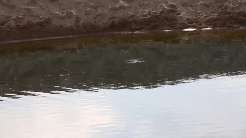A picturesque lake nestled on the sandy beach, inviting swimmers to cool off in its crystal-clear wa