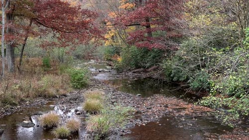 A small stream flowing through the forest on a cool autumn day in the mountains.