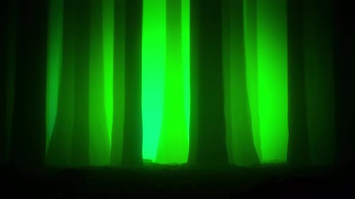 Creepy Woods