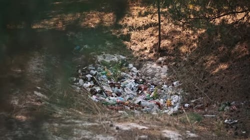 Garbage Dump in Forest Environmental Pollution