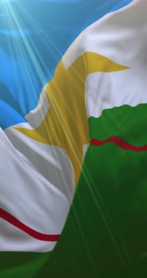 Roraima State Flag