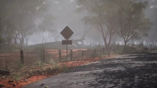 Foggy Morning Road with a Warning Sign Near a Remote Forest Area