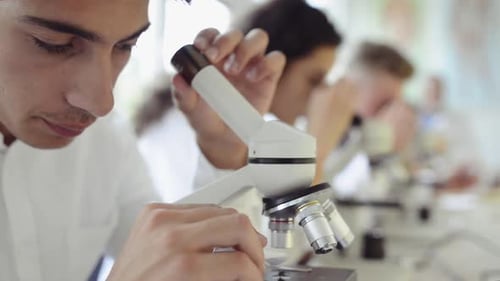 High school students explore science with microscopes in a bright laboratory