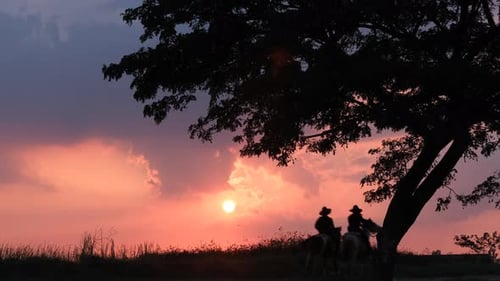 Back of two cowboy ride horse run through road with sunset and evening light and tree in background