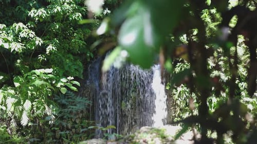 Pequena cachoeira revelada por trás da vegetação nas cataratas de Kinahugan em Bohol, Filipinas