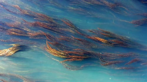 Luftaufnahme des Flusses in Bergen mit trübem blauem Wasser und gelbem Gras, das sich langsam im Stern bewegt