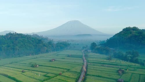 Mist-Covered Rice Fields at Bukit Cinta with Mount Agung
