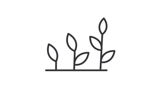 Plant development line animation