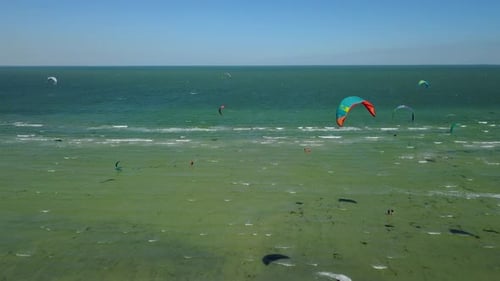 Aerial of Many Kiteboarders with Colorful Kites Flying Over the Blue Sea Lagoon Ride on Kiteboards