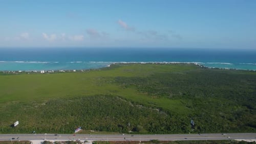 Aerial shot on an extension with green and virgin vegetation with a road and in the background the h