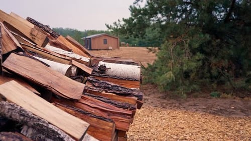 general plan of chopped wood A pile of firewood lying in a field near the forest, prepared fireplace