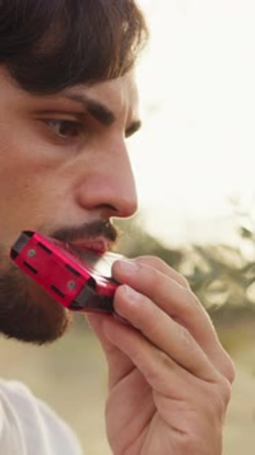 Hombre músico toca la armónica junto con el teclado en el campo